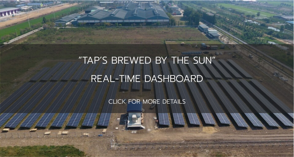 TAP’s Brewed by the Sun