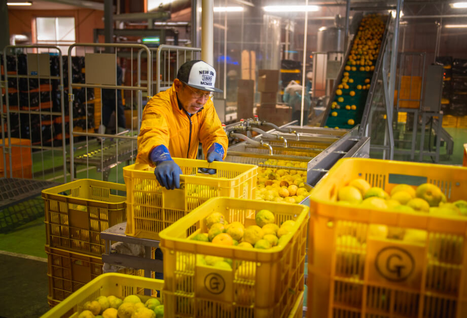 Cheers Selection Japanese Yuzu